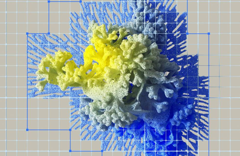 pexels-googledeepmind-17484901